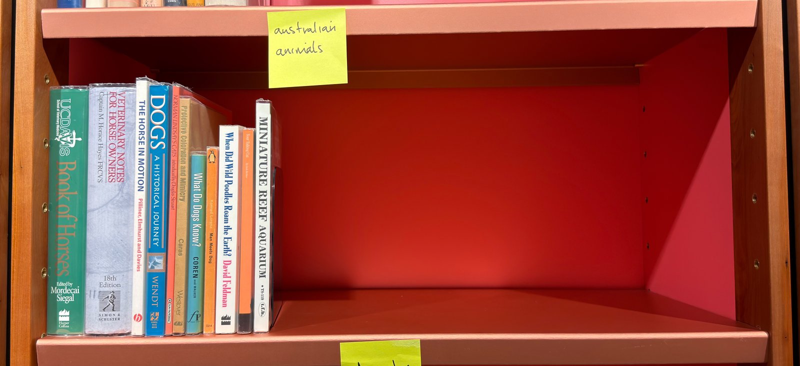 Shelfie Capture from May 27, 2026 10:57 AM