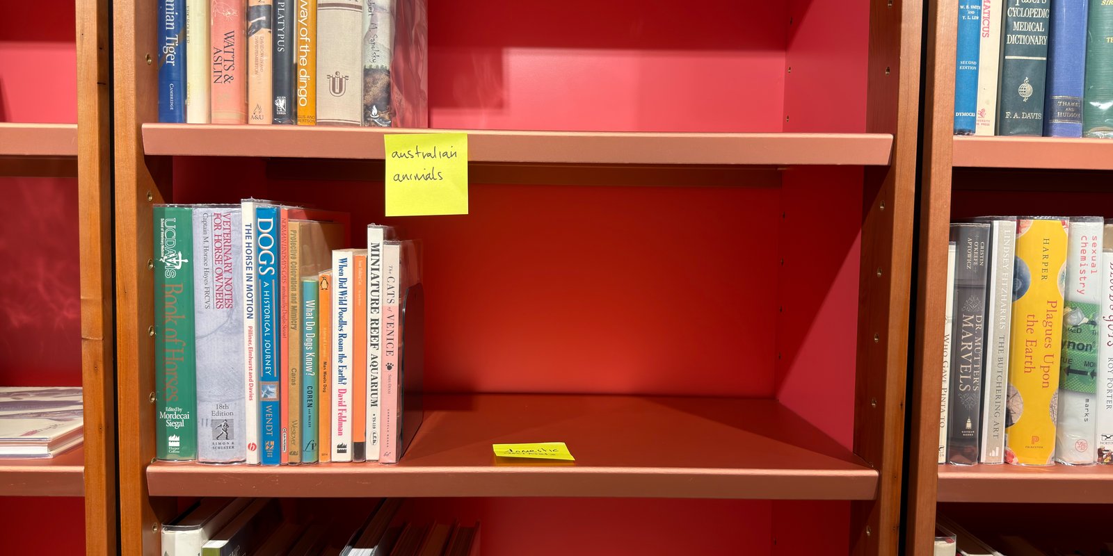 Shelfie Capture from Jun 1, 2026 4:42 PM