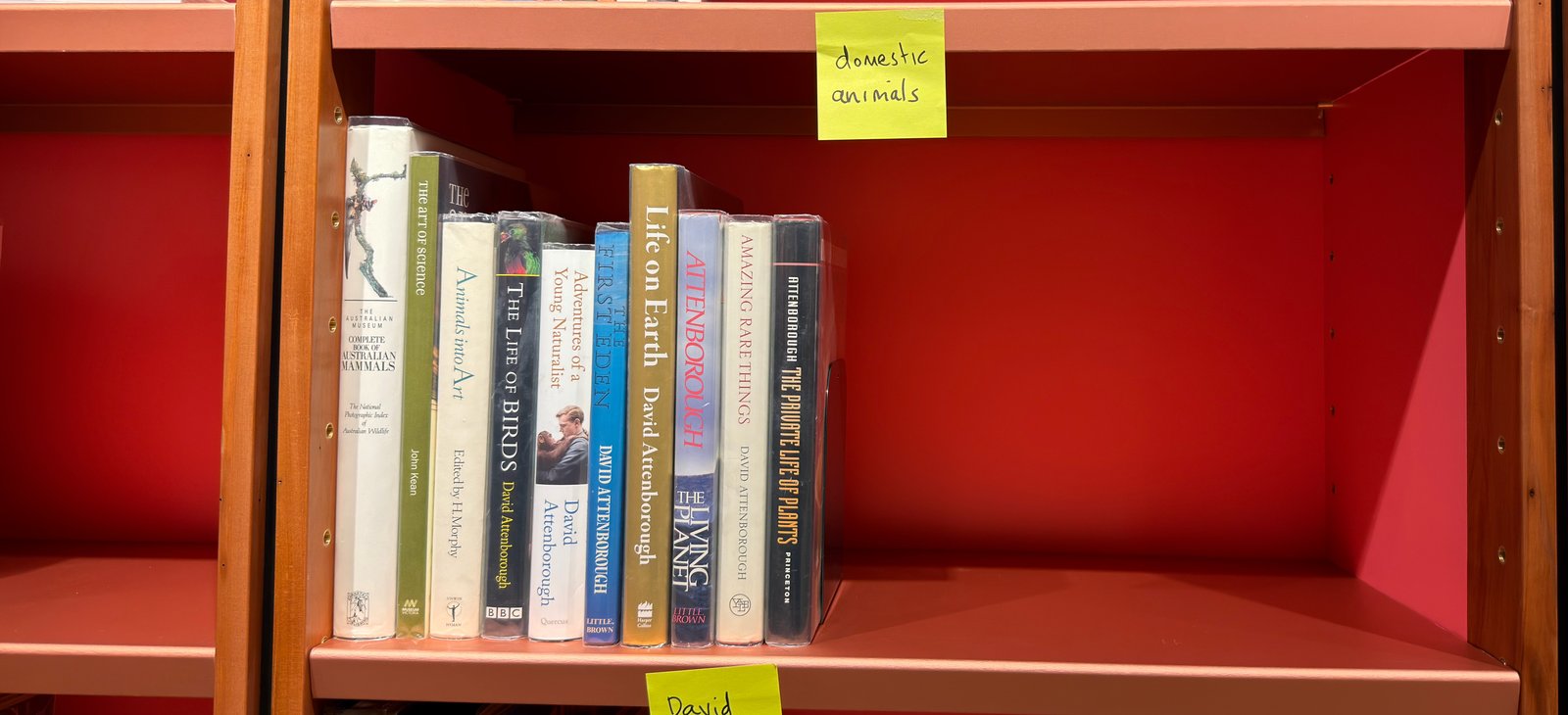 Shelfie Capture from May 27, 2026 10:57 AM