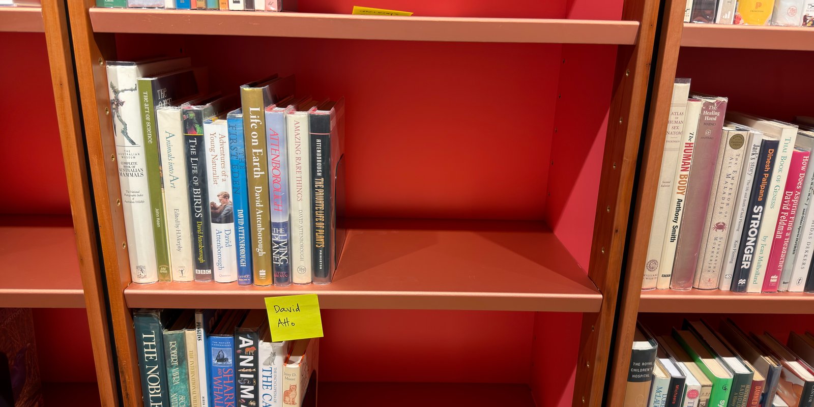 Shelfie Capture from Jun 1, 2026 4:42 PM