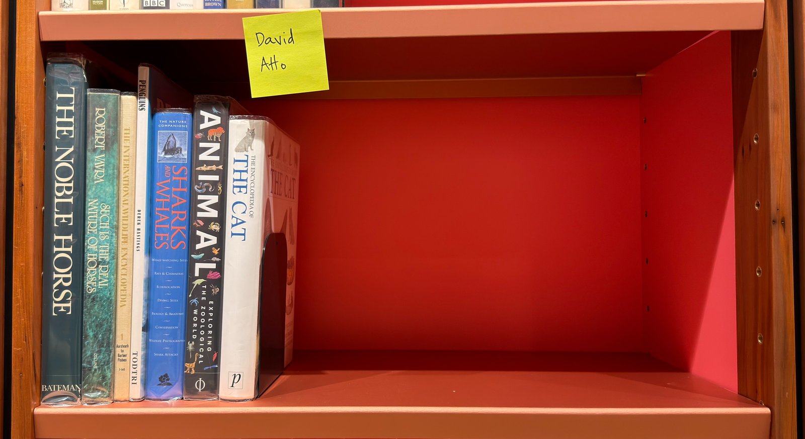 Shelfie Capture from May 27, 2026 10:57 AM