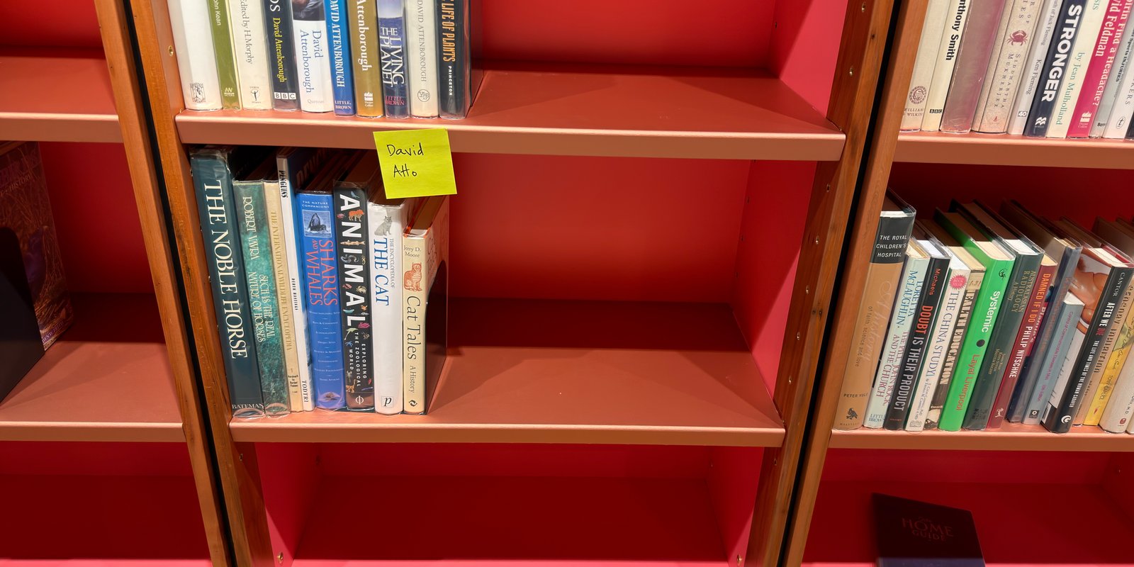 Shelfie Capture from Jun 1, 2026 4:42 PM