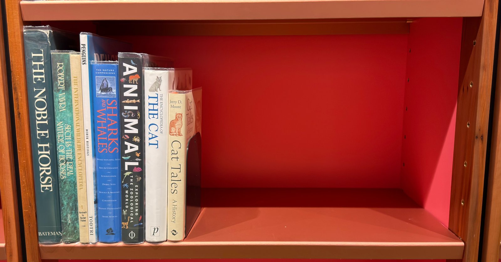 Shelfie Capture from Jun 12, 2026 2:18 PM