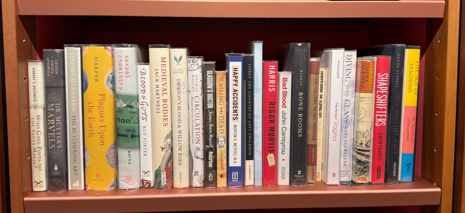Shelfie Capture from Jun 1, 2026 4:43 PM