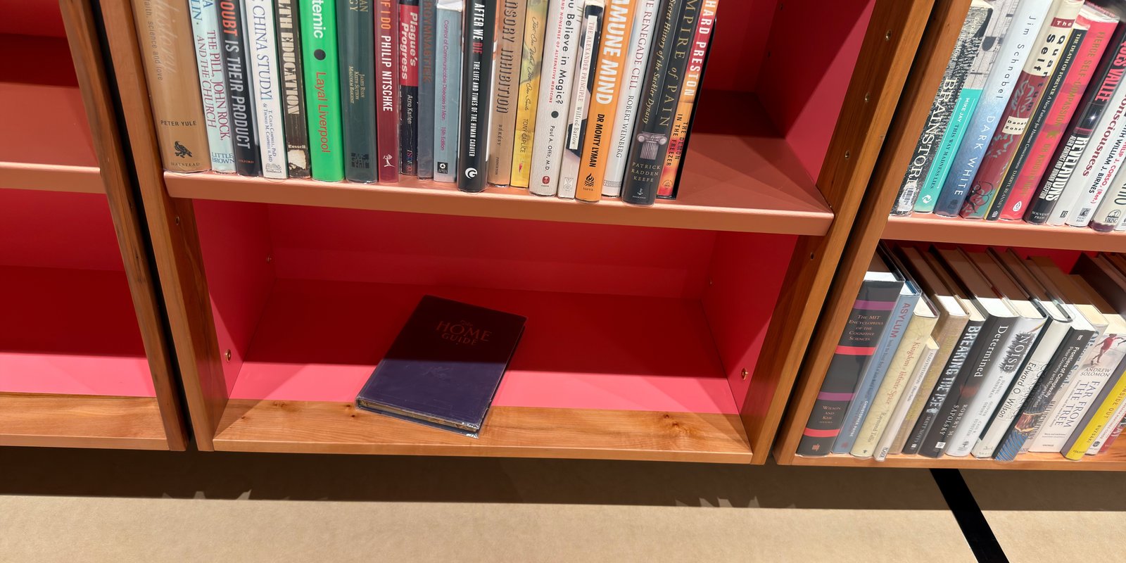 Shelfie Capture from Jun 1, 2026 4:43 PM