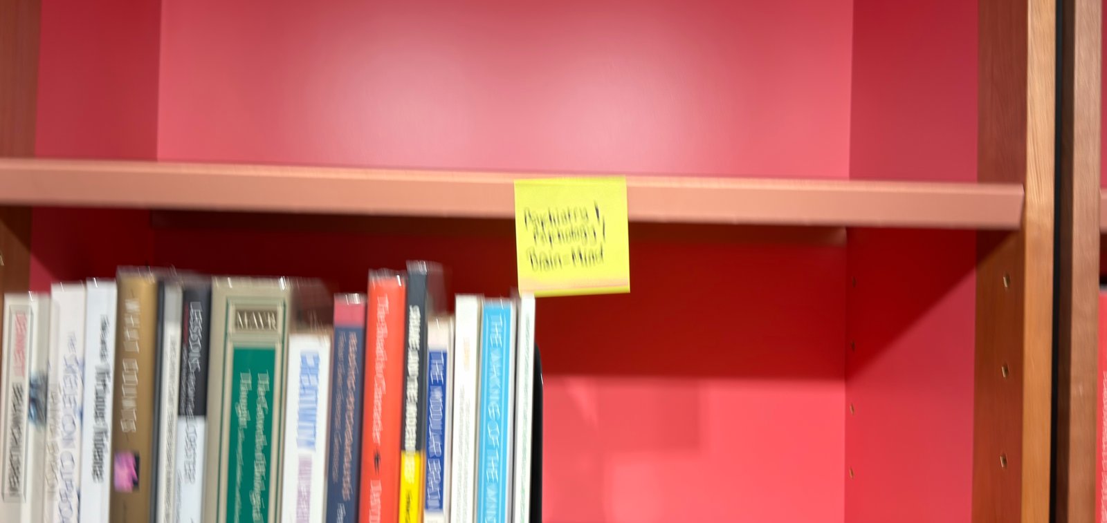 Shelfie Capture from May 27, 2026 10:58 AM