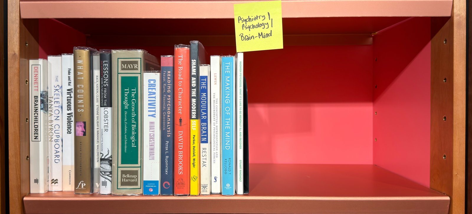Shelfie Capture from May 27, 2026 10:58 AM