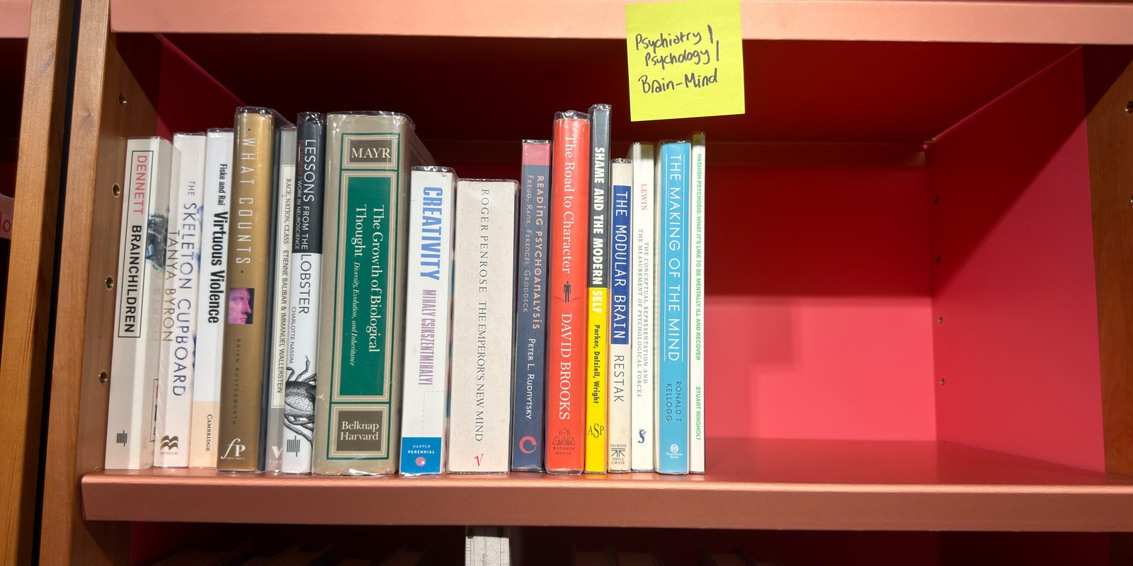 Shelfie Capture from May 28, 2026 3:24 PM
