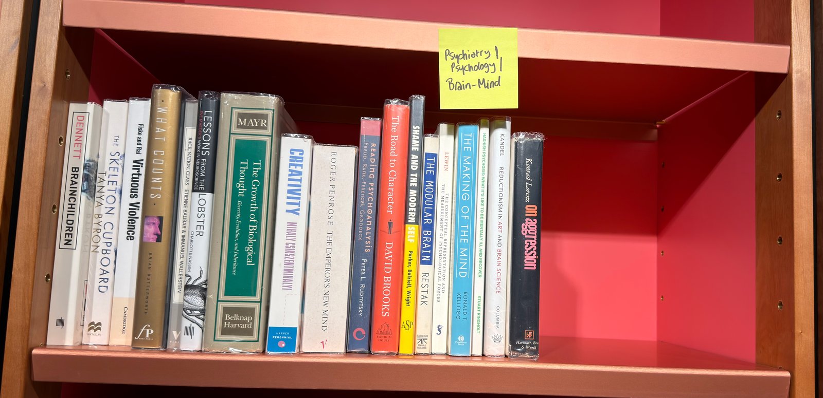 Shelfie Capture from Jun 1, 2026 4:43 PM