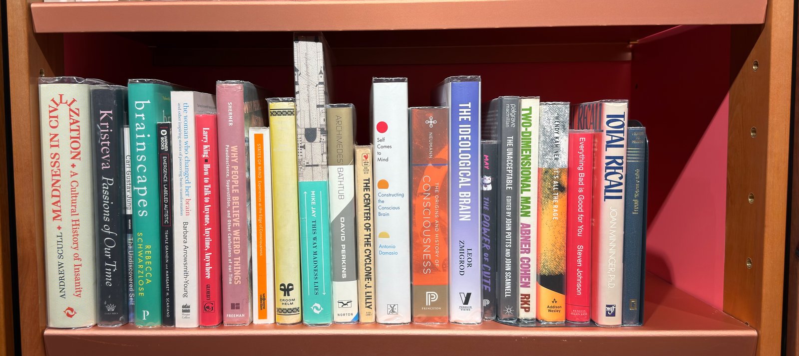 Shelfie Capture from May 27, 2026 10:58 AM