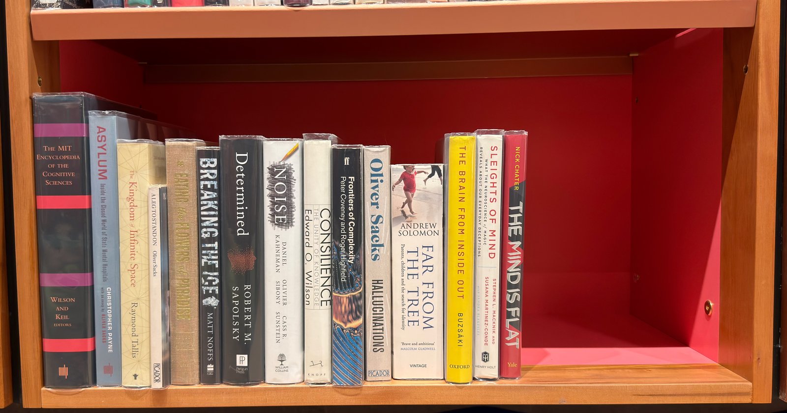Shelfie Capture from May 27, 2026 10:58 AM