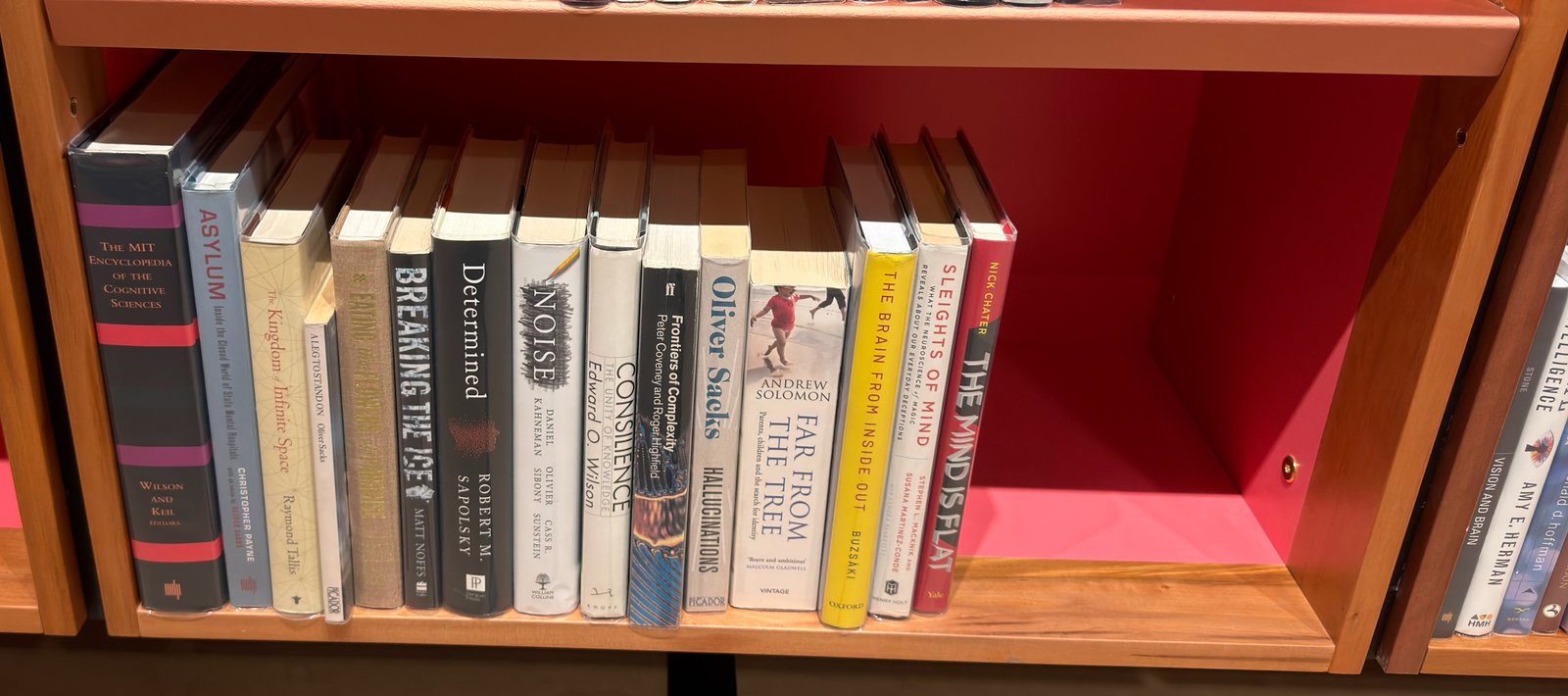 Shelfie Capture from May 28, 2026 3:25 PM