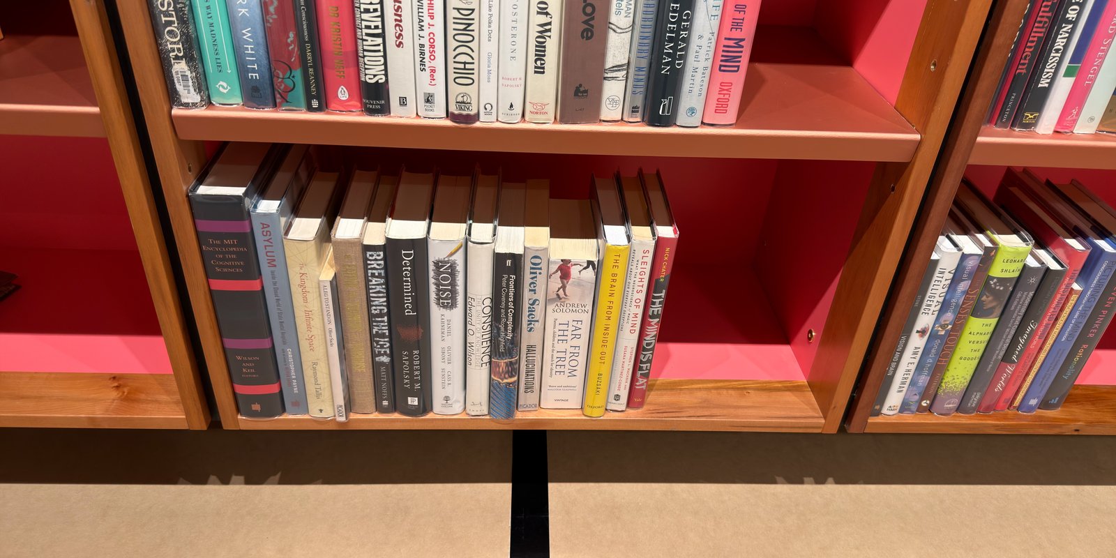 Shelfie Capture from Jun 1, 2026 4:43 PM