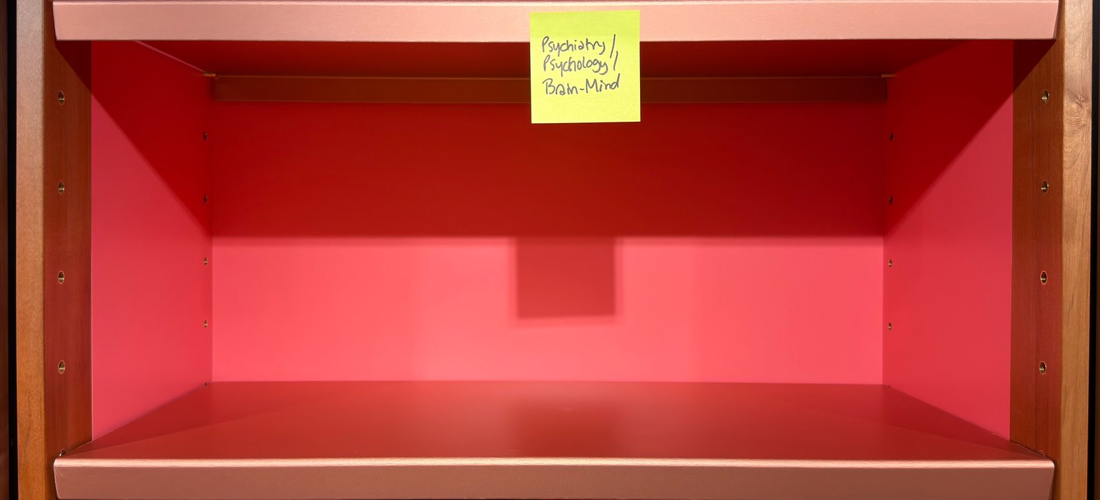 Shelfie Capture from May 27, 2026 10:59 AM