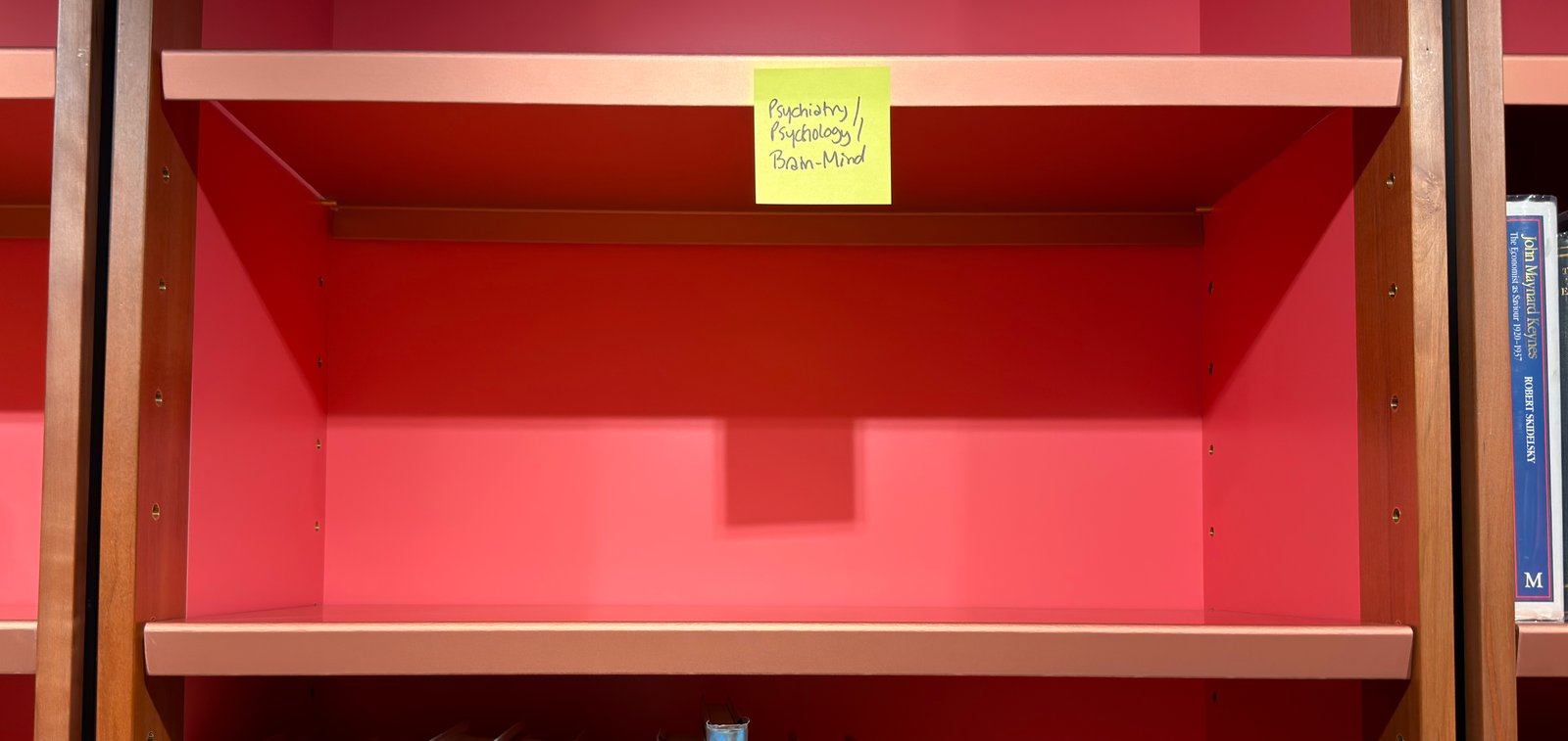 Shelfie Capture from Jun 1, 2026 4:44 PM
