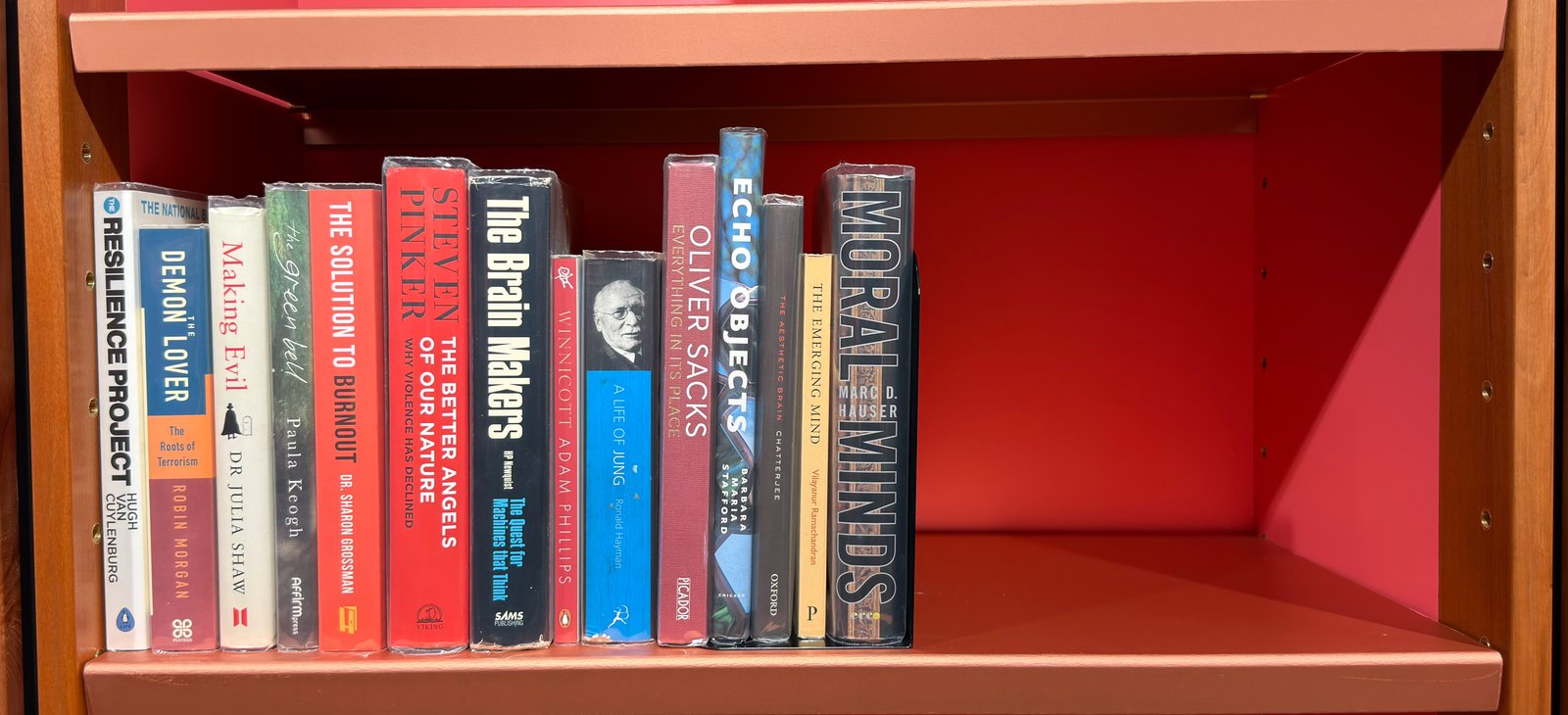 Shelfie Capture from May 27, 2026 10:59 AM
