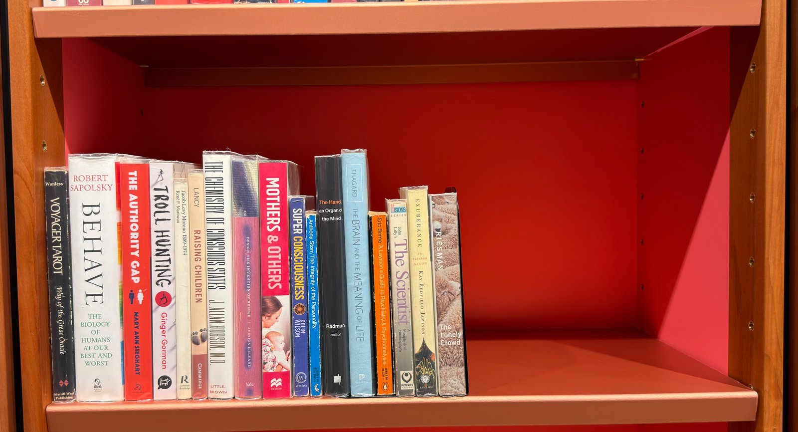 Shelfie Capture from May 27, 2026 10:59 AM