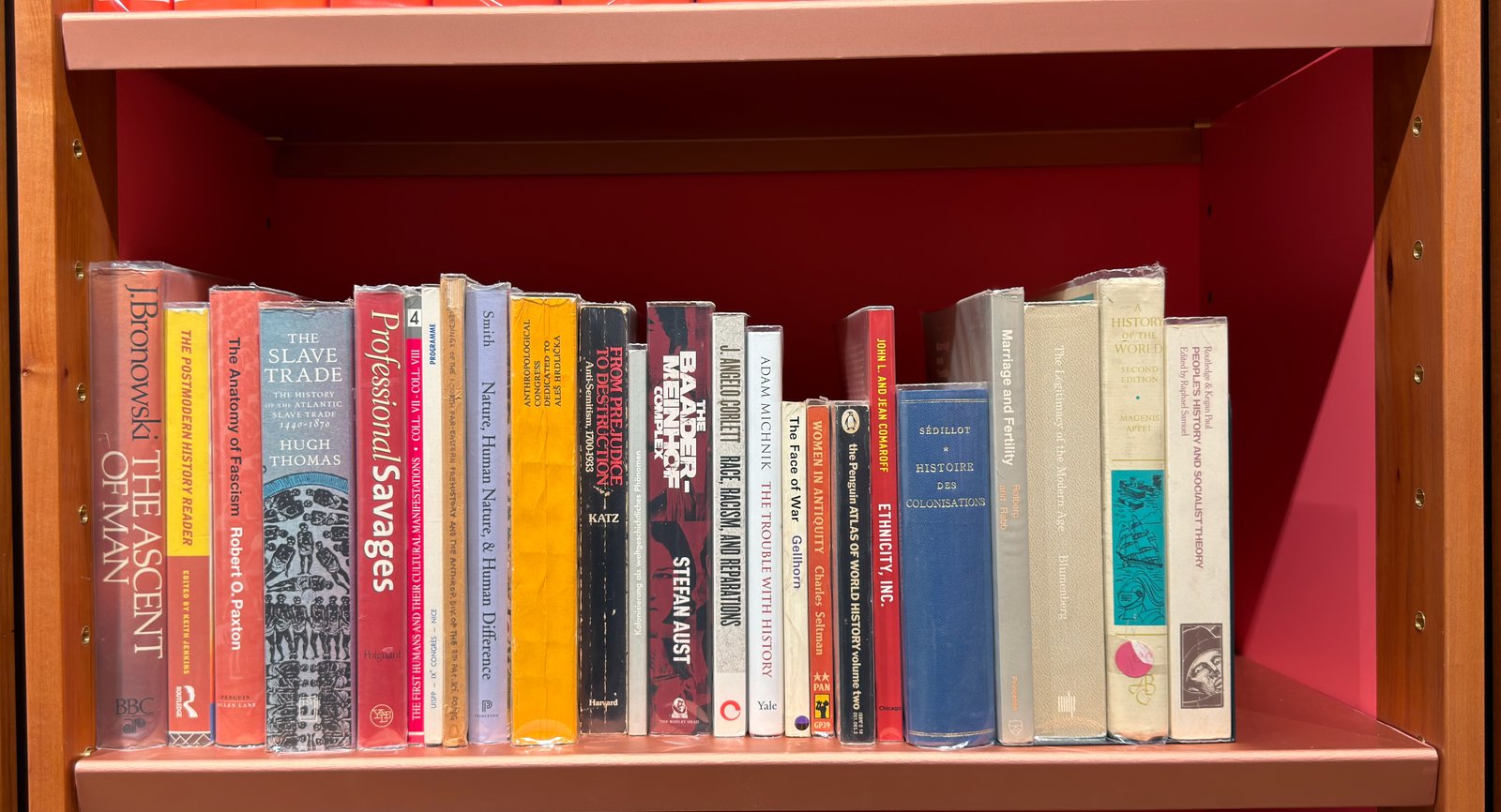Shelfie Capture from May 27, 2026 10:54 AM