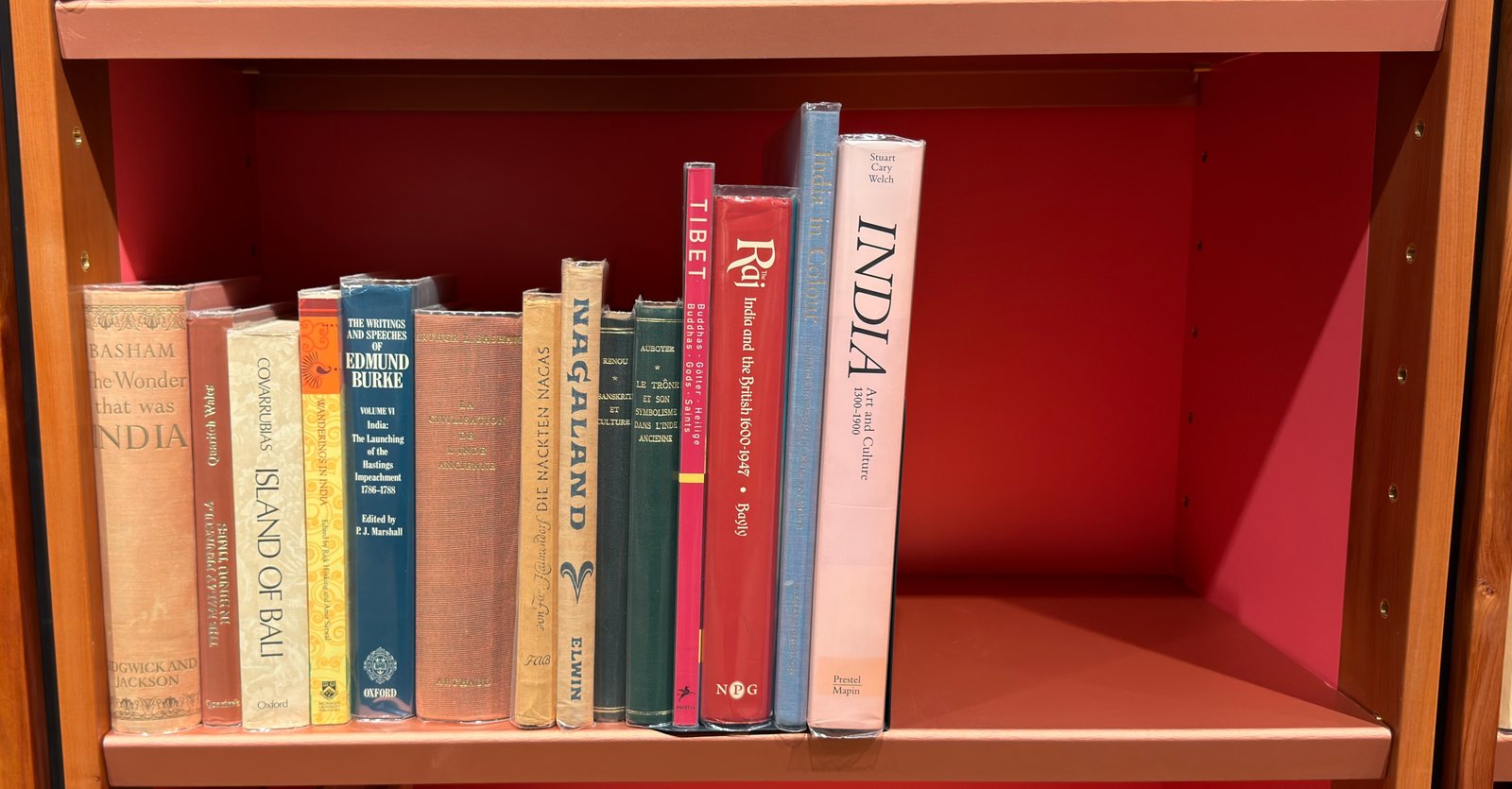Shelfie Capture from May 27, 2026 10:49 AM