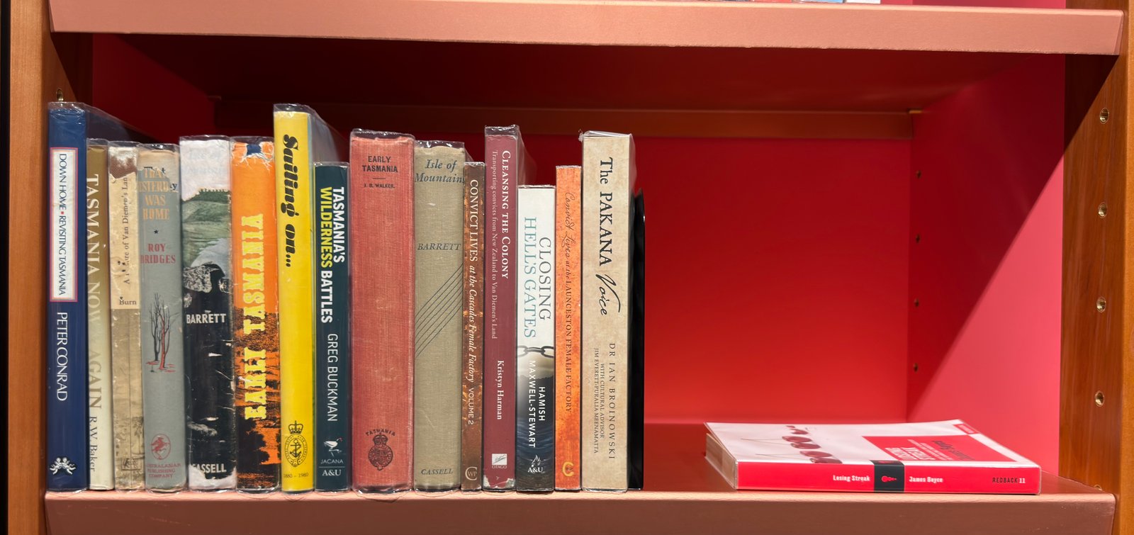 Shelfie Capture from Jun 15, 2026 9:04 PM