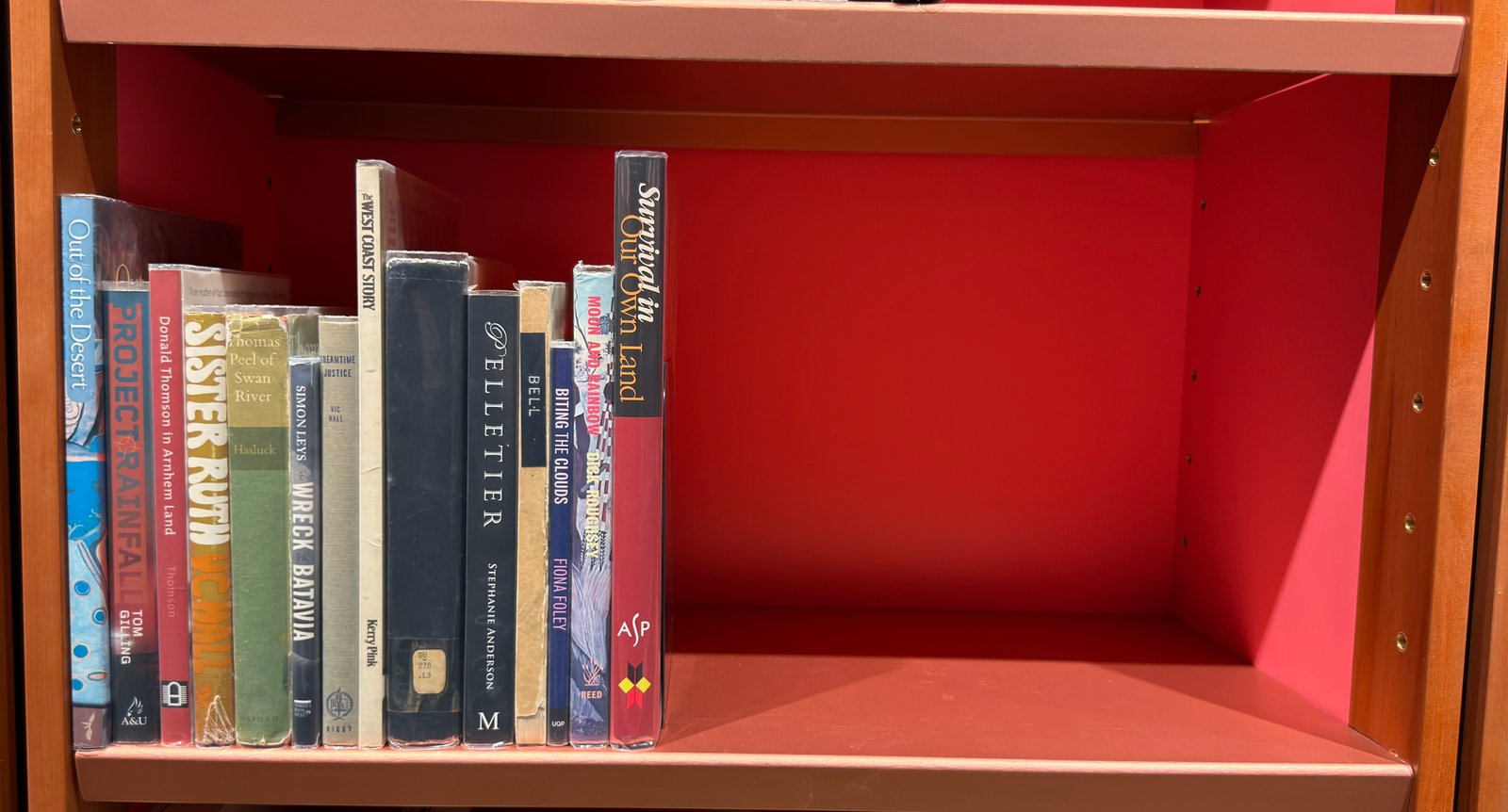 Shelfie Capture from Jun 15, 2026 9:04 PM