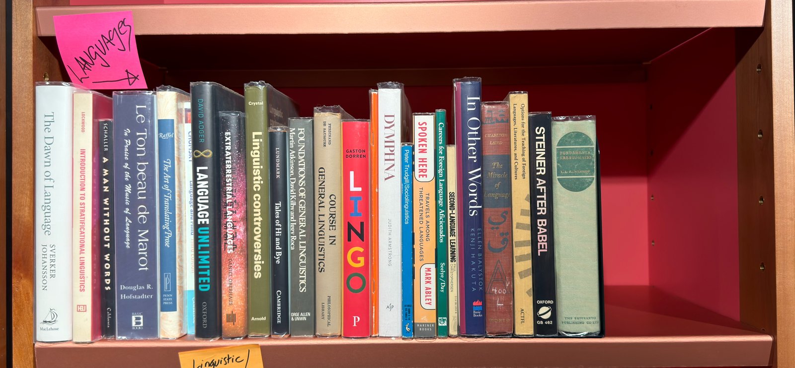 Shelfie Capture from May 27, 2026 10:42 AM