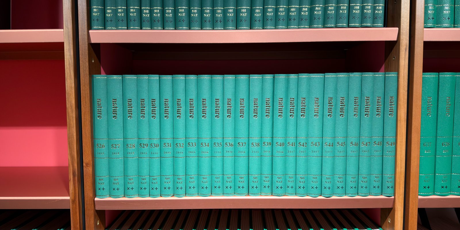 Shelfie Capture from Jun 3, 2026 10:22 AM
