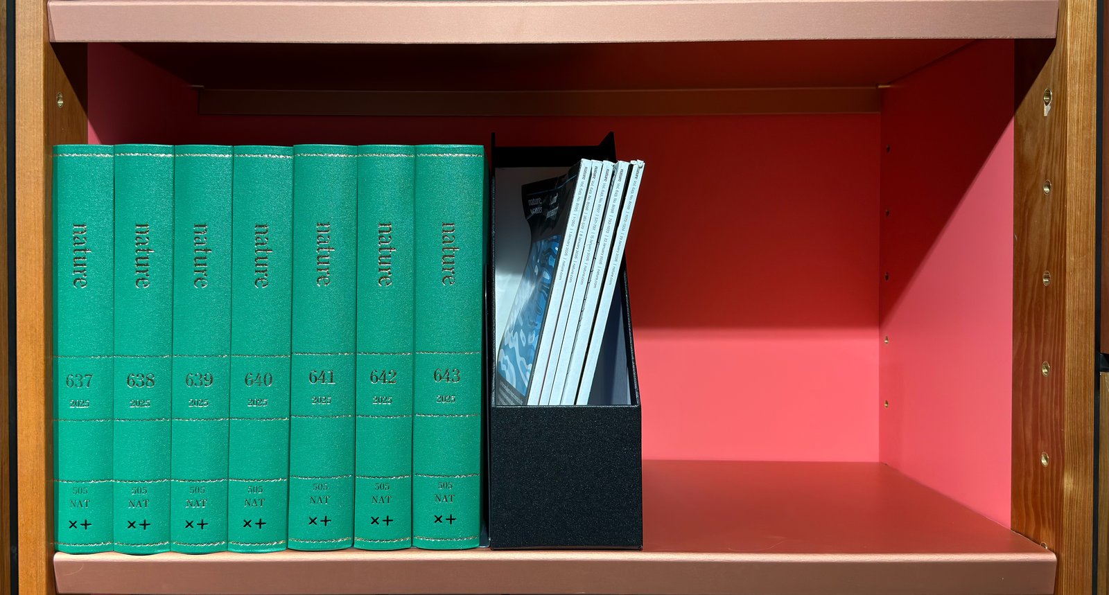 Shelfie Capture from May 27, 2026 11:13 AM