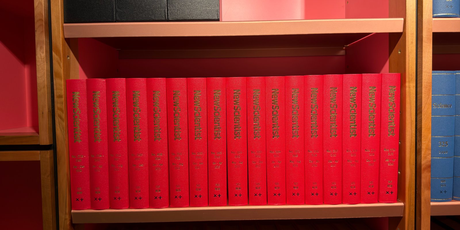 Shelfie Capture from May 27, 2026 11:15 AM