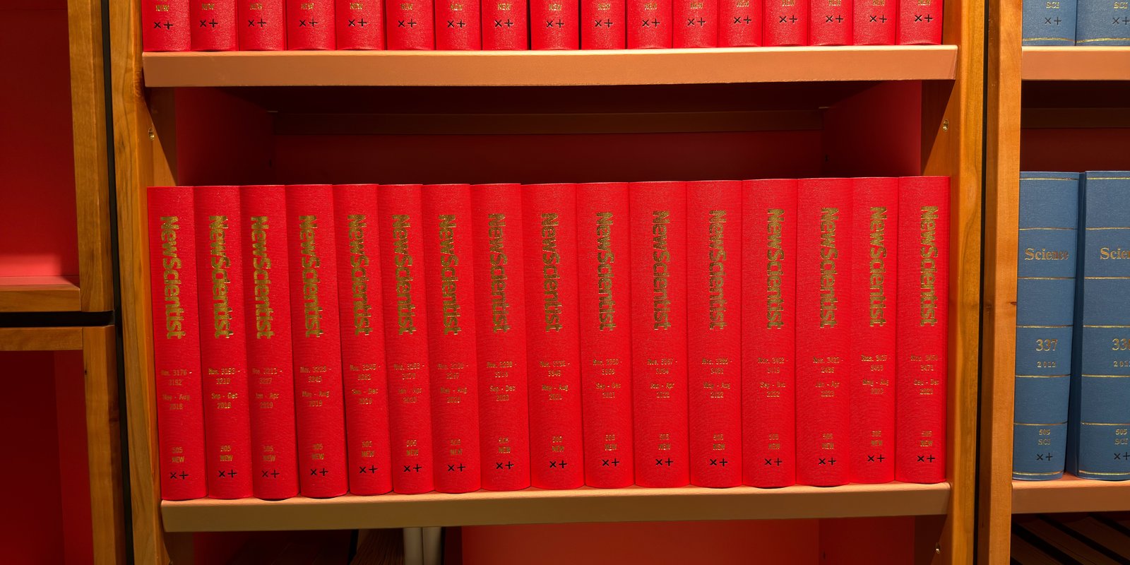 Shelfie Capture from May 27, 2026 11:15 AM