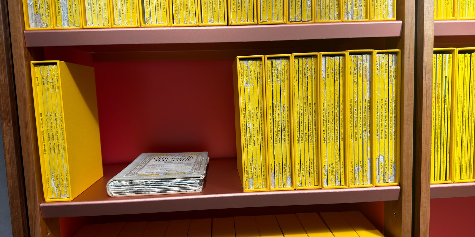 Shelfie Capture from May 15, 2026 3:25 PM
