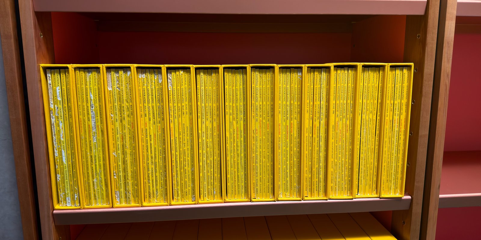 Shelfie Capture from May 15, 2026 3:25 PM