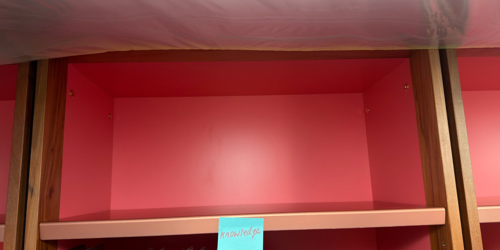 Shelfie Capture from May 15, 2026 3:36 PM