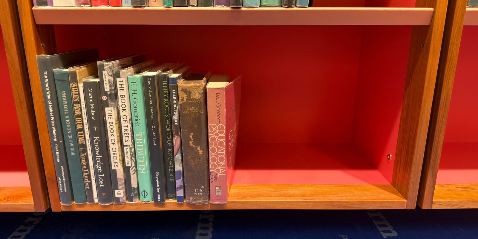 Shelfie Capture from May 15, 2026 3:36 PM