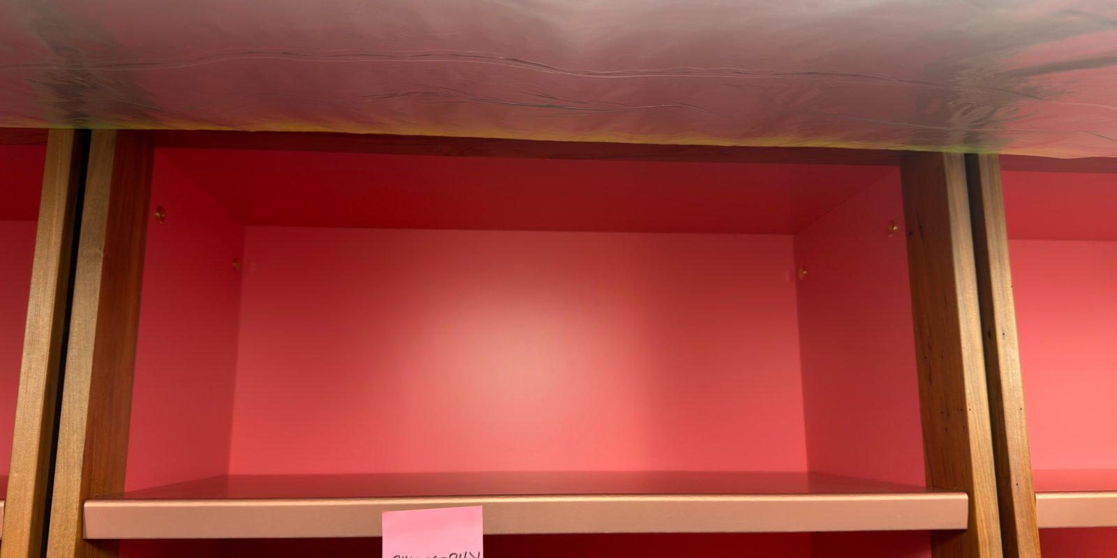 Shelfie Capture from May 15, 2026 3:36 PM