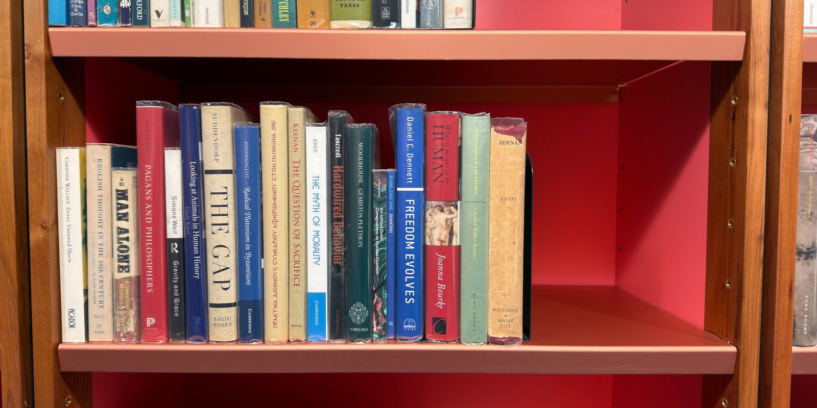 Shelfie Capture from May 15, 2026 3:36 PM