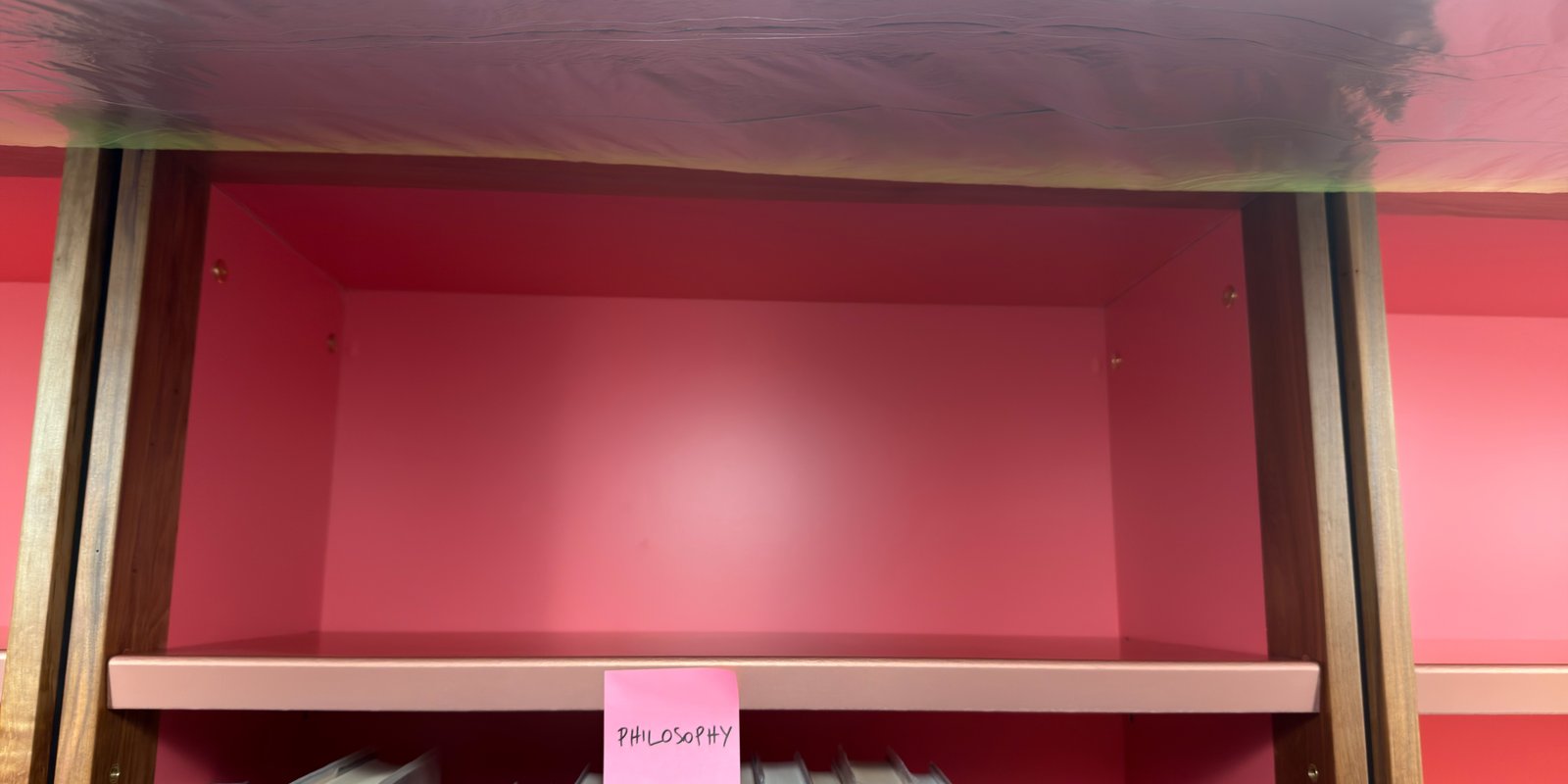Shelfie Capture from May 15, 2026 3:37 PM