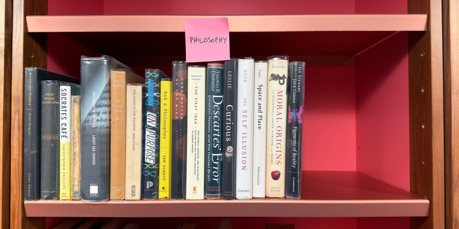 Shelfie Capture from May 15, 2026 3:37 PM