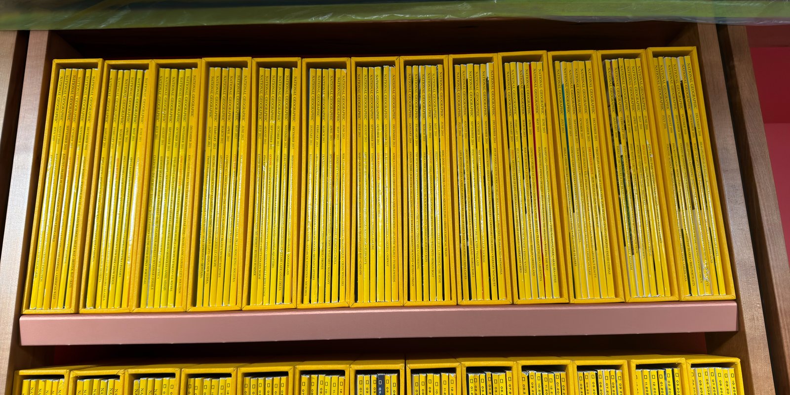 Shelfie Capture from May 15, 2026 3:26 PM