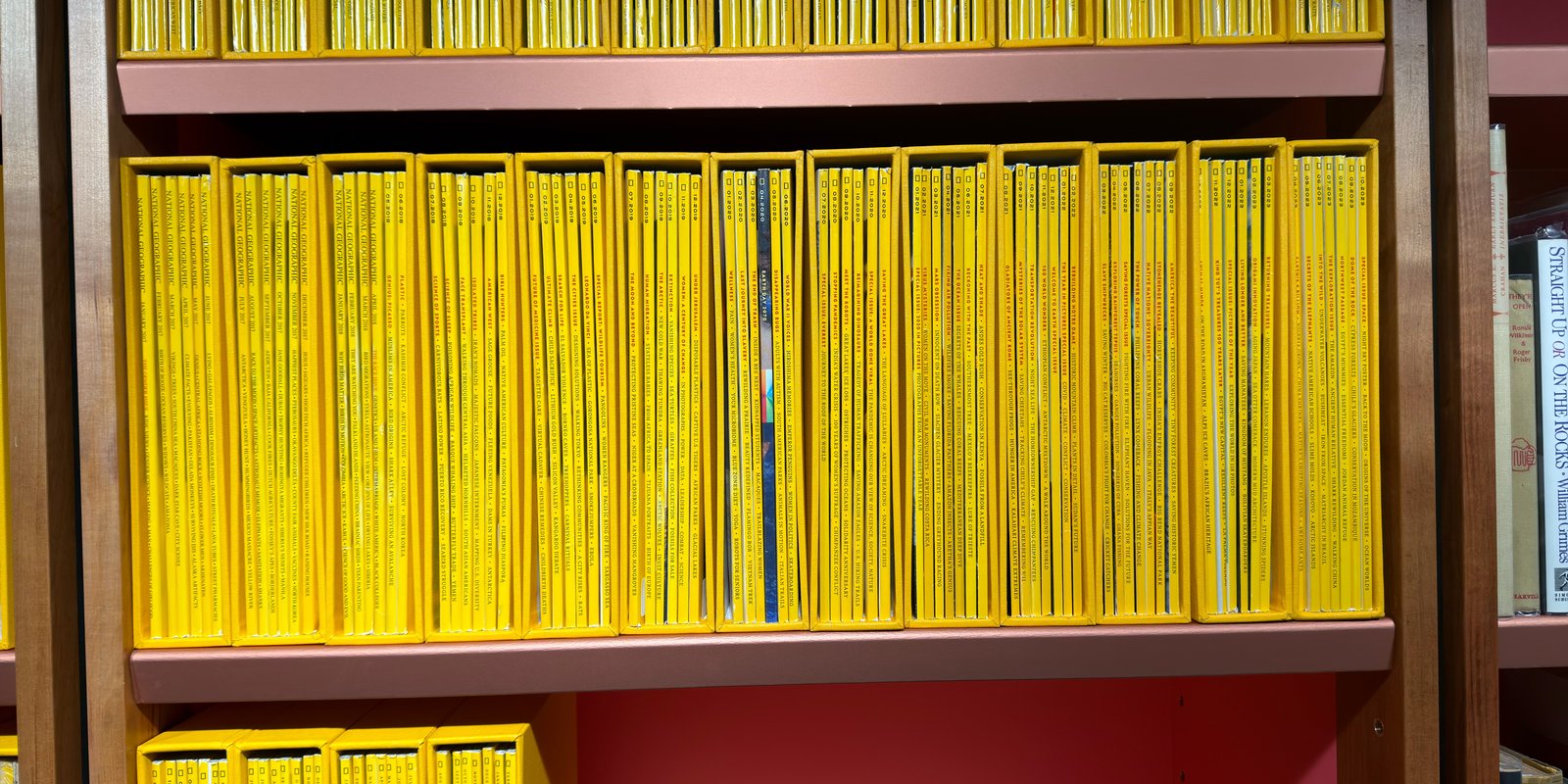 Shelfie Capture from May 15, 2026 3:26 PM