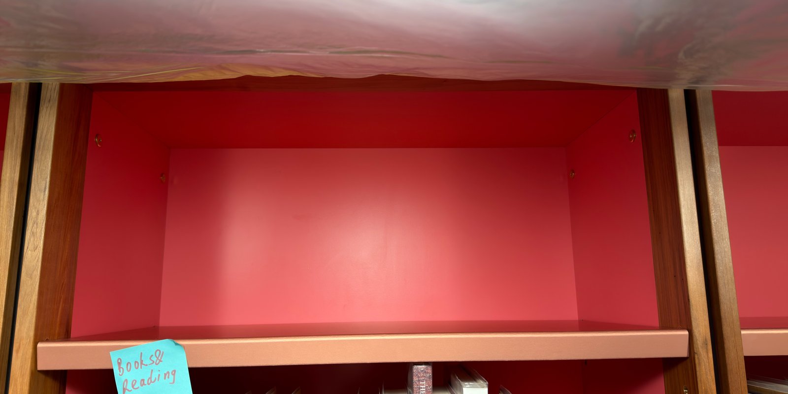 Shelfie Capture from May 15, 2026 3:37 PM