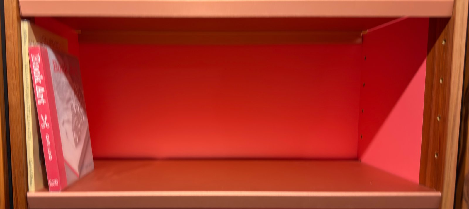 Shelfie Capture from May 27, 2026 11:31 AM