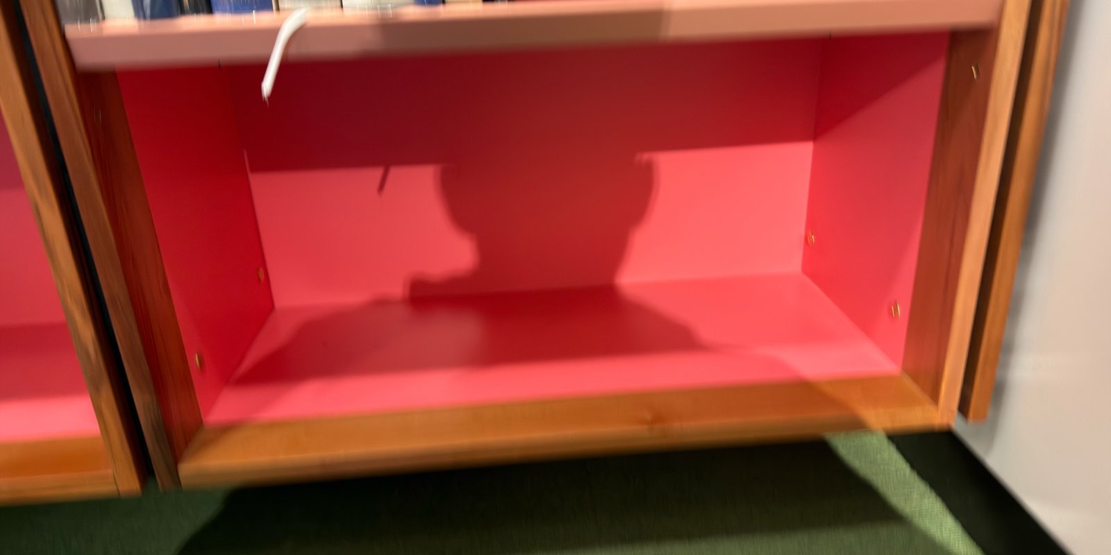 Shelfie Capture from May 15, 2026 3:38 PM