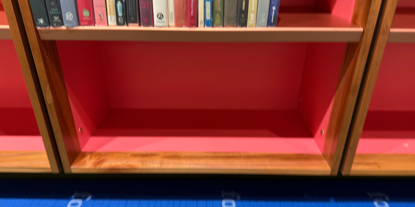 Shelfie Capture from May 14, 2026 9:19 AM