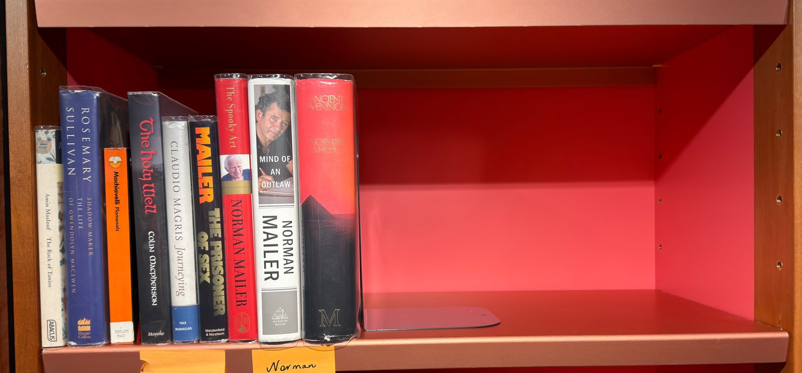 Shelfie Capture from May 19, 2026 11:28 AM