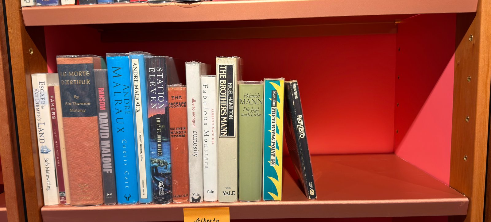 Shelfie Capture from May 19, 2026 11:29 AM