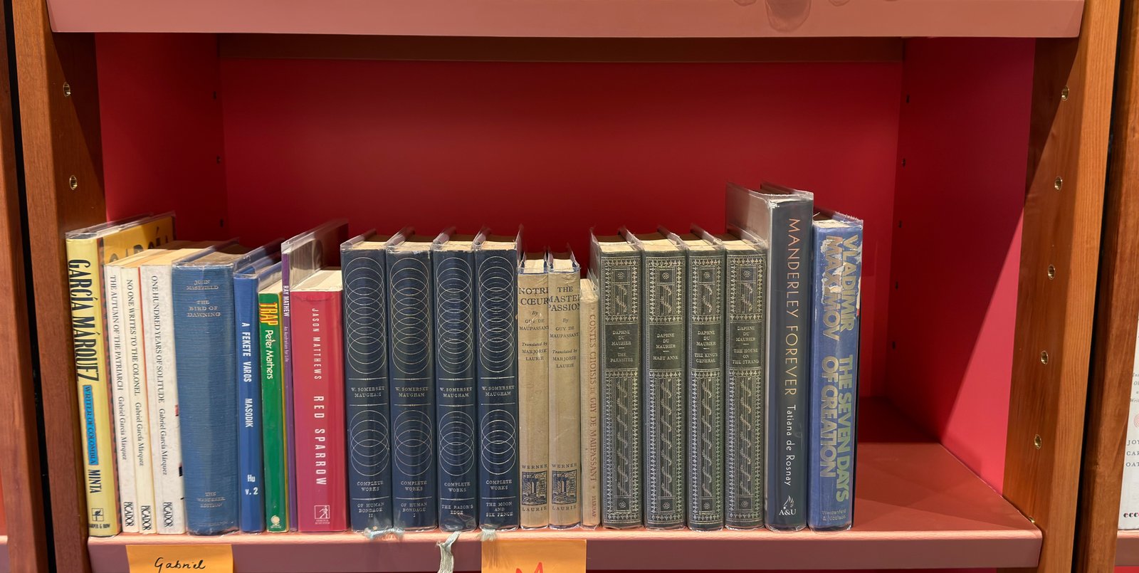 Shelfie Capture from May 19, 2026 11:29 AM