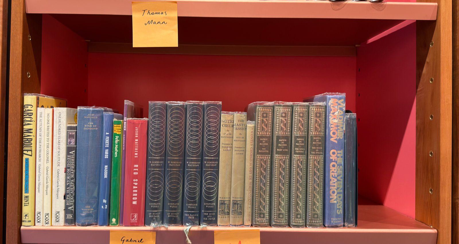 Shelfie Capture from May 27, 2026 11:25 AM