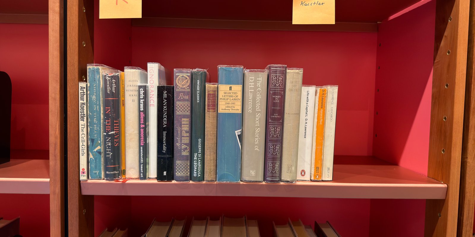 Shelfie Capture from May 29, 2026 2:22 PM