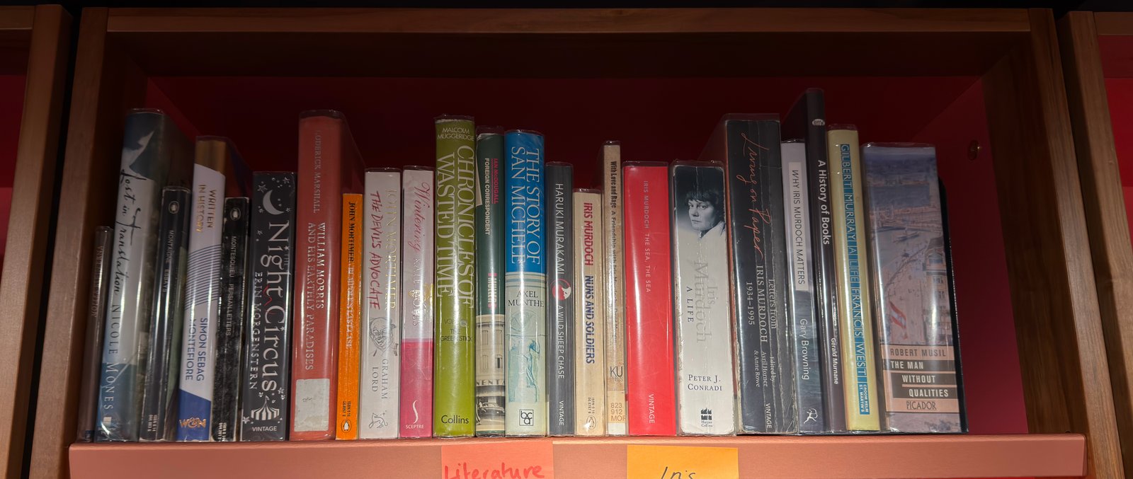 Shelfie Capture from May 19, 2026 11:30 AM